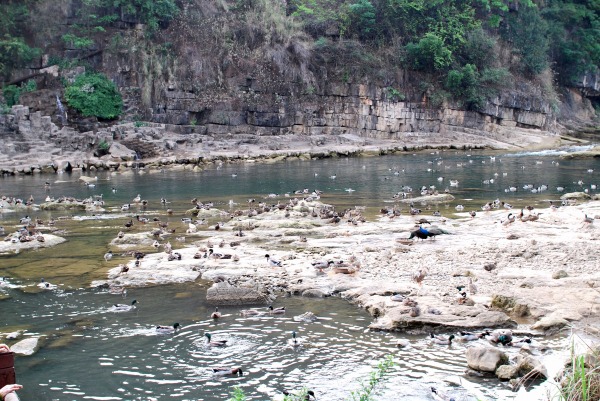 天星橋風景＆陡坡搪瀑布 (貴州省・安順)*_d0089706_22581171.jpg