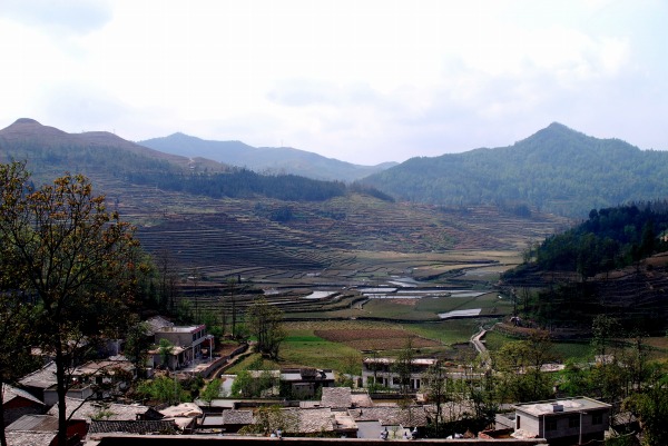 d0089706_2331243.jpg