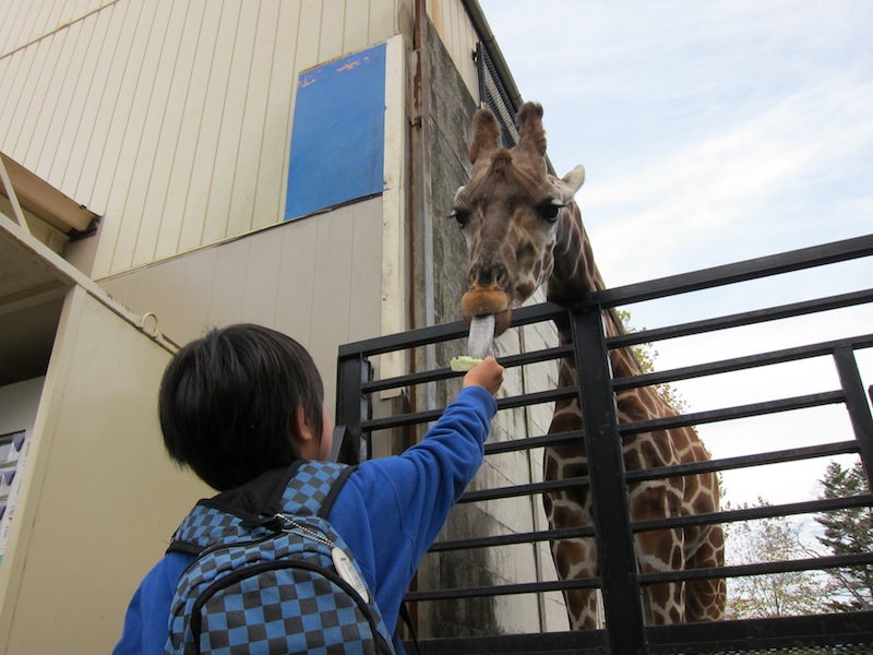 遠足@宇都宮動物園_f0138807_11345562.jpg