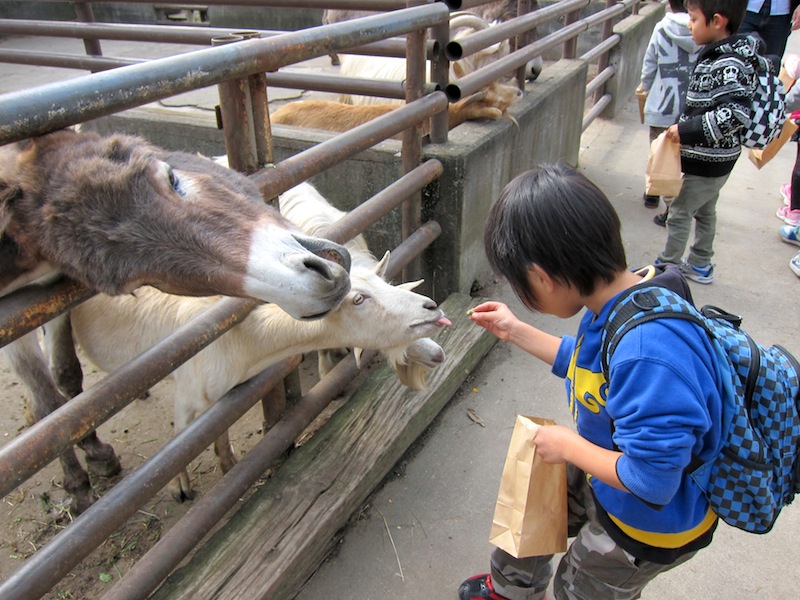 遠足@宇都宮動物園_f0138807_11351011.jpg