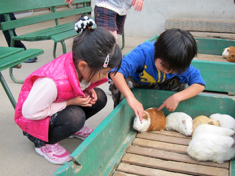遠足@宇都宮動物園_f0138807_11352118.jpg