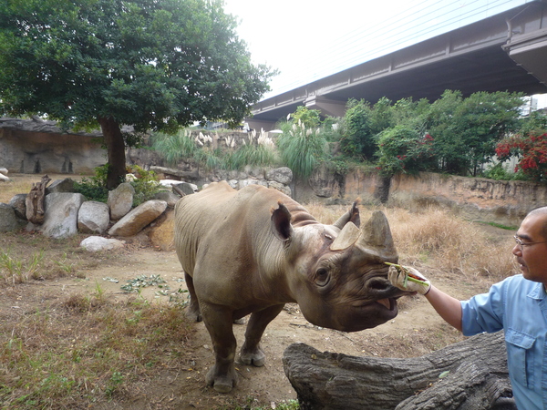 天王寺動物園_b0221508_12104897.jpg