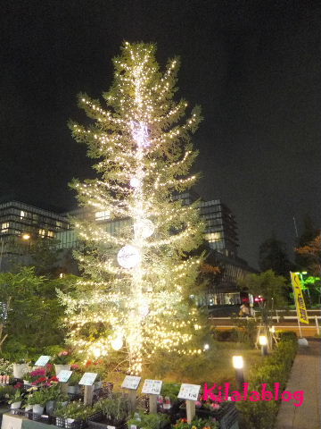 e0130008_20503716.jpg