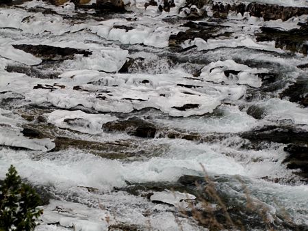 b0051109_859378.jpg