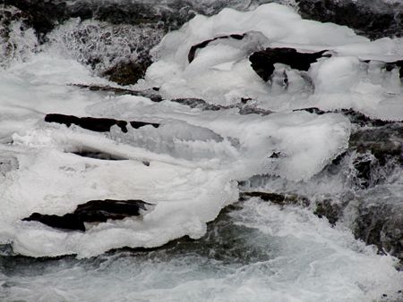 b0051109_90583.jpg