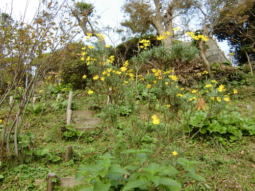 スカットハウス_e0240310_1054081.jpg
