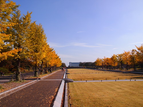 a0213011_81615.jpg