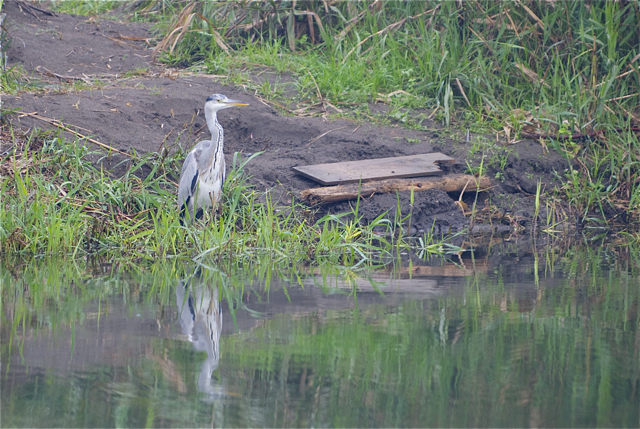 c0153411_22521212.jpg