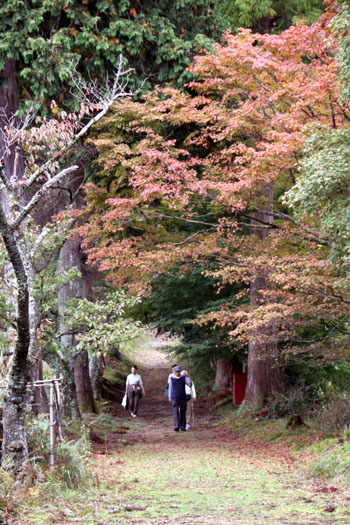 紅葉始まる 綾部 君尾山光明寺_e0048413_20194276.jpg