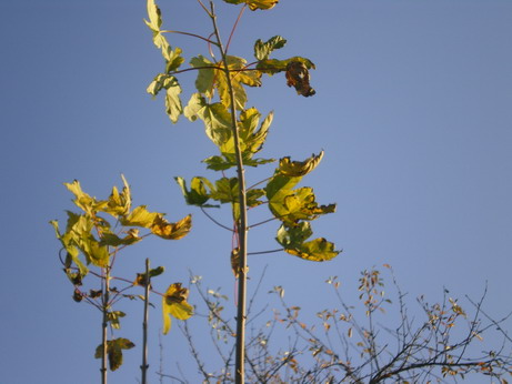 c0124619_71255.jpg