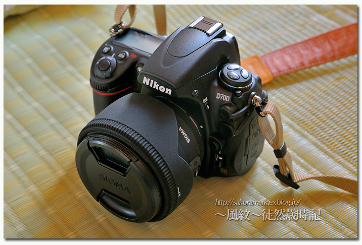 D700購入顛末記 風紋 徒然歳時記