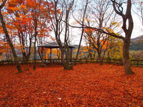 b0147224_21462878.jpg