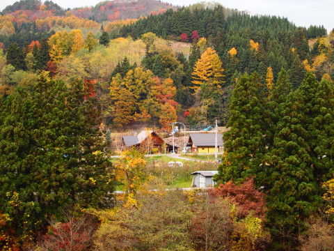 b0147224_21595914.jpg