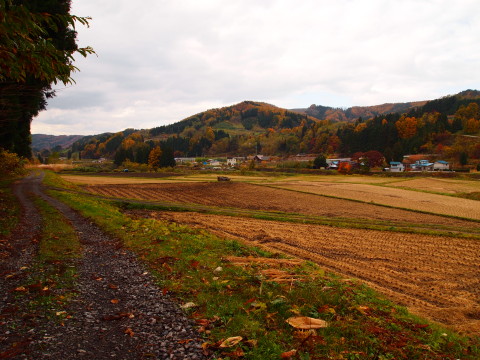 b0147224_2203469.jpg