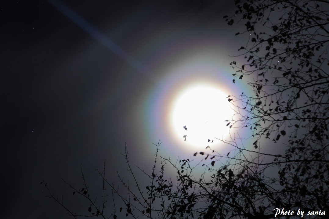 c0201929_2043688.jpg