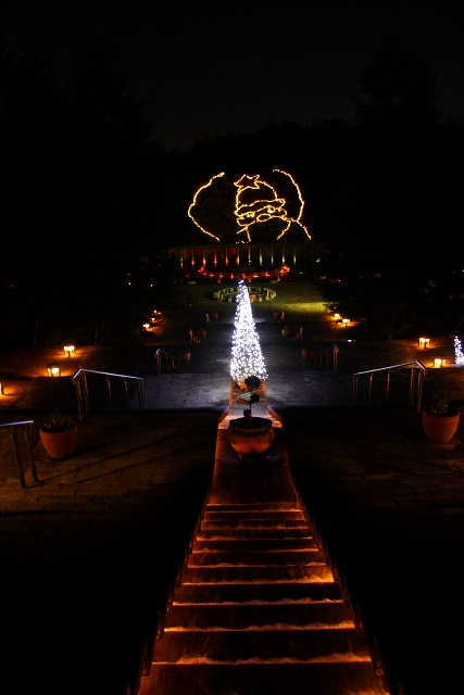 初冬の宇治 宇治市植物公園のクリスマス イルミネーション ｍｅｍｏｒｙ ｏｆ ｋｙｏｔｏｌｉｆｅ