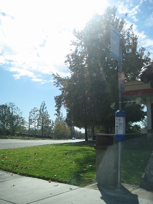 c0220830_1335271.jpg