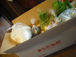 五ヶ瀬の新鮮野菜。_f0162932_12323710.jpg