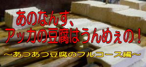 伝説の豆腐屋を訪ねる_b0206037_19352086.jpg