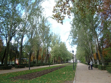 e0120938_6254653.jpg