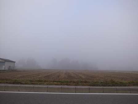 朝からスッキリ_a0014840_18134199.jpg
