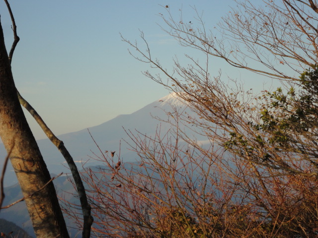 a0048040_20143128.jpg