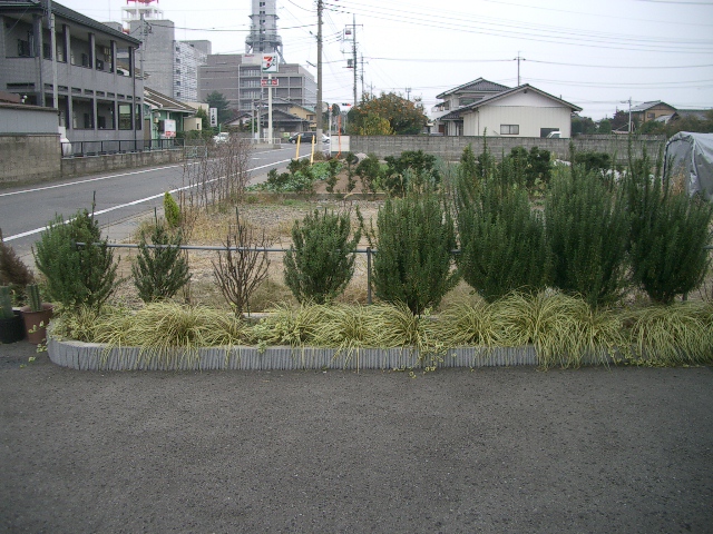 交渉成立(枯れ木整理)_a0155844_16241488.jpg