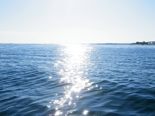 ((まだまだ好調な浜名湖))_f0055244_2032417.jpg