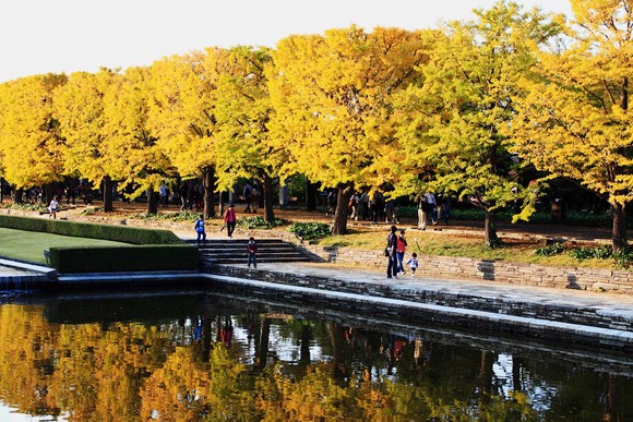 Autumn PARK - 秋の昭和記念公園_a0148747_702446.jpg