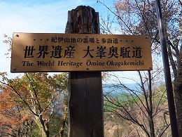 d0048350_1528213.jpg