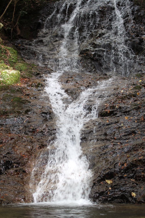 d0176953_8295276.jpg