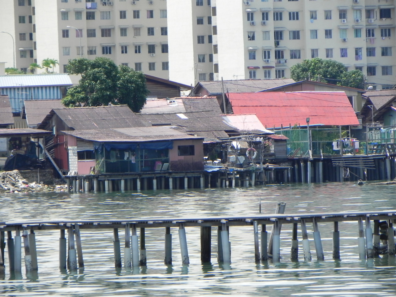 d0087054_17554557.jpg