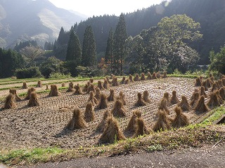 秋の宮崎（南部）_b0061863_2145181.jpg