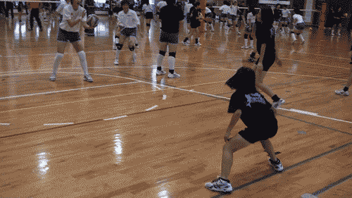 沖縄_c0000970_9394177.gif