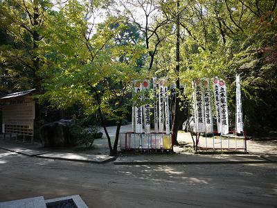 b0209471_14373435.jpg