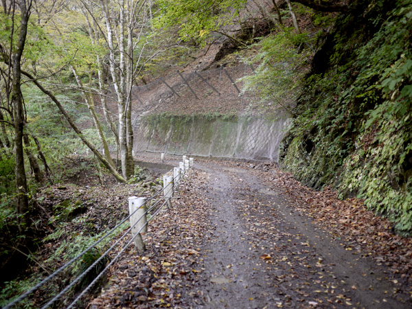 a0207672_2154420.jpg