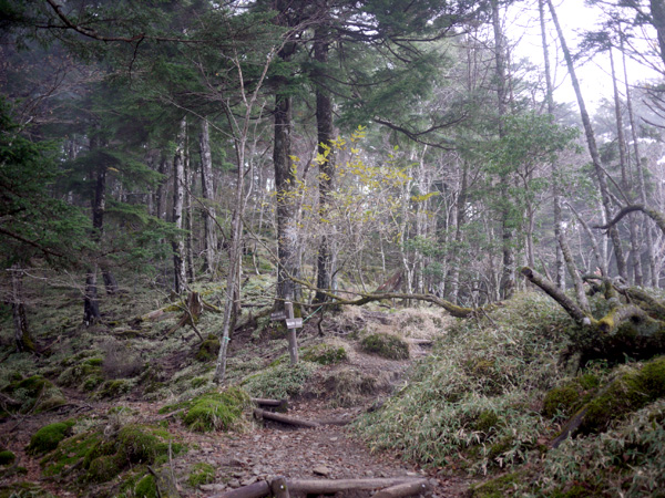 a0207672_215676.jpg