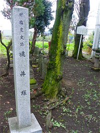 桃井塚 (桐生市新里町新川)_b0004675_12164266.jpg