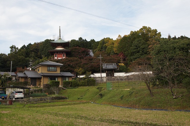 京都紅葉さがし　三宅八幡宮・三明院_a0206577_13394223.jpg