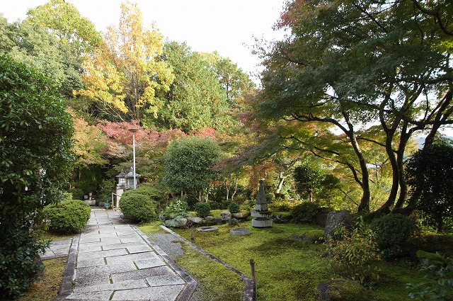 京都紅葉さがし　三宅八幡宮・三明院_a0206577_13394346.jpg