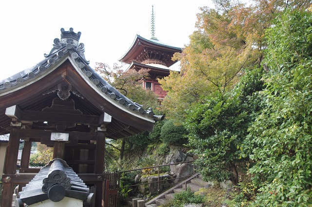 京都紅葉さがし　三宅八幡宮・三明院_a0206577_13395018.jpg