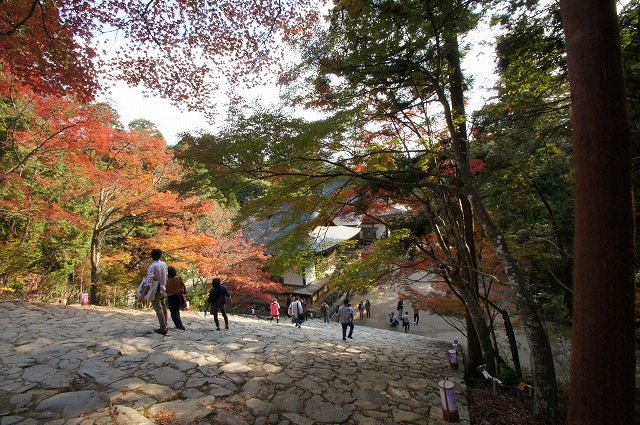 京都紅葉さがし　高雄・神護寺_a0206577_2030263.jpg