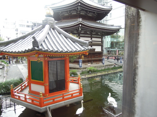 池坊華展 六角堂_d0195183_19473228.jpg