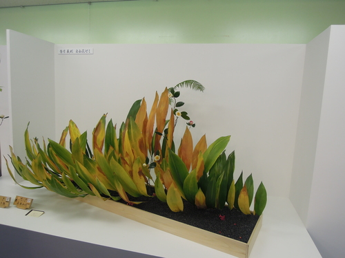池坊華展 六角堂_d0195183_19532218.jpg