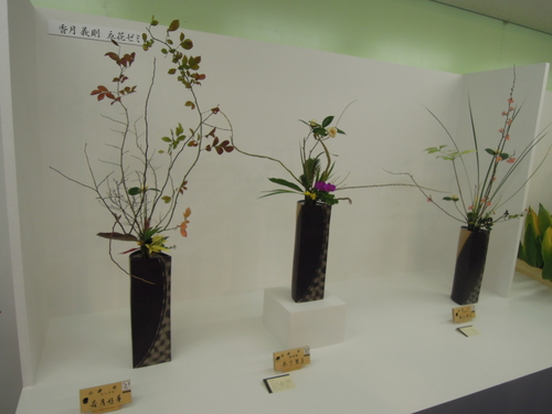 池坊華展 六角堂_d0195183_200986.jpg