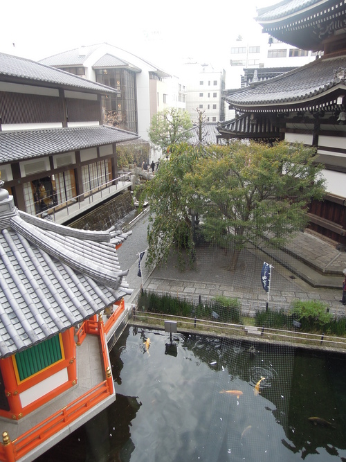 池坊華展 六角堂_d0195183_20114168.jpg