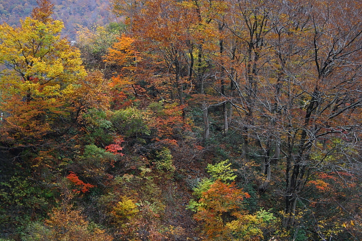 新潟　胎内渓谷の紅葉　ラスト_e0165983_12344297.jpg