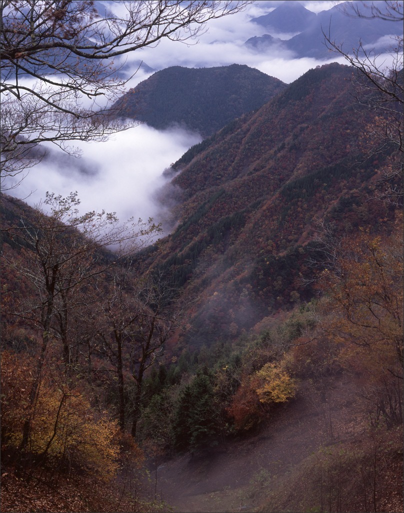 山　201111xx02_a0142487_20241556.jpg