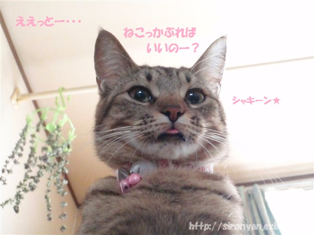 a0159490_14382086.jpg