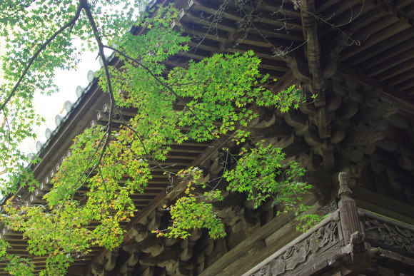 f0208490_19201242.jpg